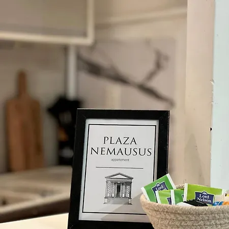 Cozy Centre - Plaza Nemausus 아파트