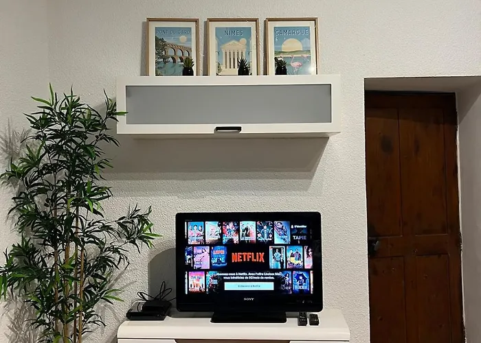 Cozy Centre - Plaza Nemausus דירה